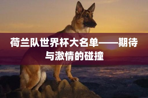 荷兰队世界杯大名单——期待与激情的碰撞