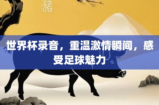 世界杯录音，重温激情瞬间，感受足球魅力