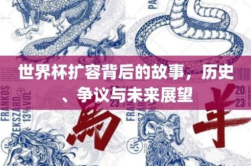 世界杯扩容背后的故事，历史、争议与未来展望
