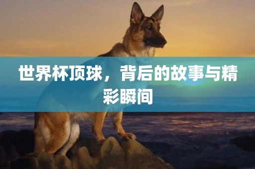 世界杯顶球，背后的故事与精彩瞬间