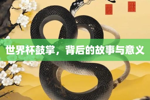世界杯鼓掌，背后的故事与意义