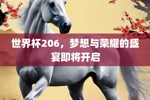 世界杯206，梦想与荣耀的盛宴即将开启