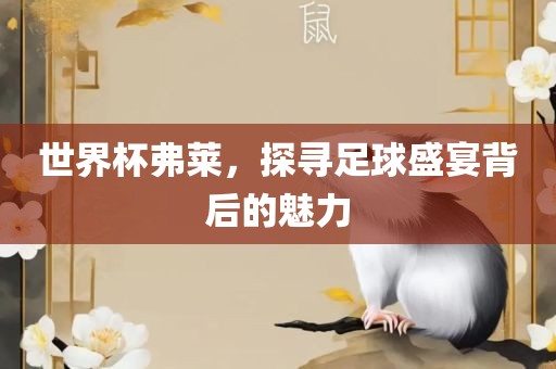 世界杯弗莱，探寻足球盛宴背后的魅力