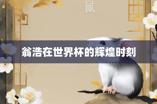 翁浩在世界杯的辉煌时刻
