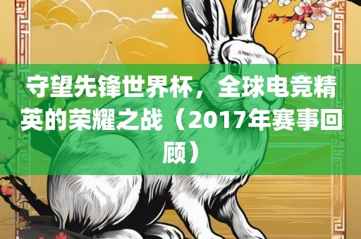 守望先锋世界杯，全球电竞精英的荣耀之战（2017年赛事回顾）