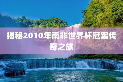 揭秘2010年南非世界杯冠军传奇之旅