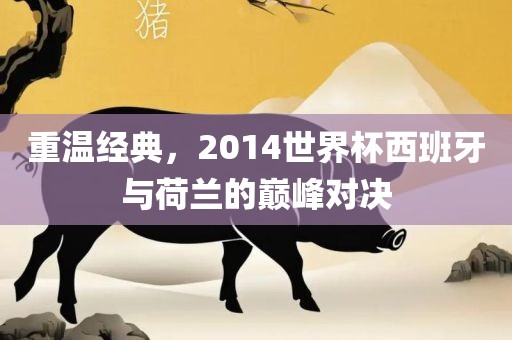 重温经典，2014世界杯西班牙与荷兰的巅峰对决
