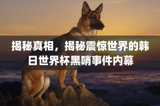 揭秘真相，揭秘震惊世界的韩日世界杯黑哨事件内幕