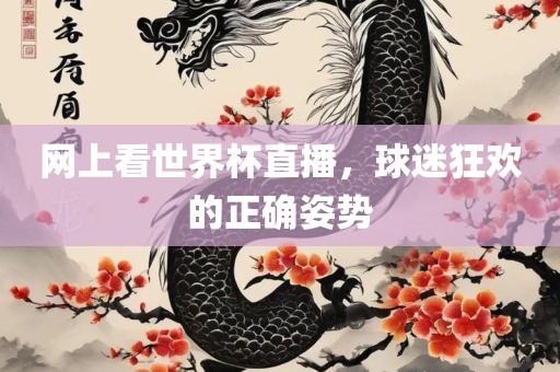 网上看世界杯直播，球迷狂欢的正确姿势