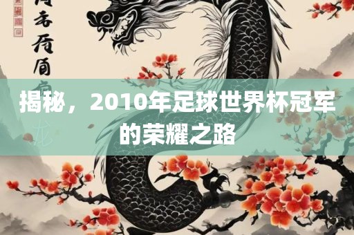 揭秘，2010年足球世界杯冠军的荣耀之路