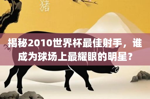 揭秘2010世界杯最佳射手，谁成为球场上最耀眼的明星？