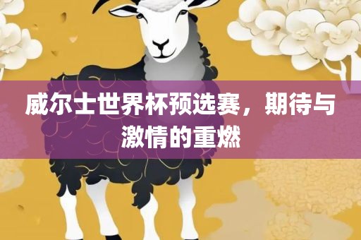 威尔士世界杯预选赛，期待与激情的重燃