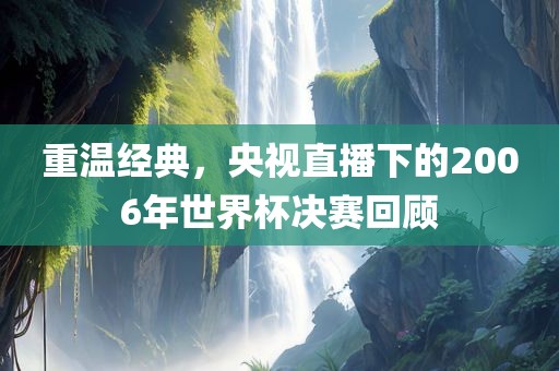重温经典，央视直播下的2006年世界杯决赛回顾