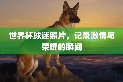 世界杯球迷照片，记录激情与荣耀的瞬间