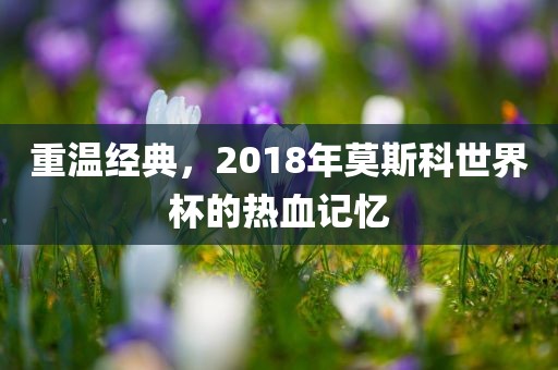 重温经典，2018年莫斯科世界杯的热血记忆