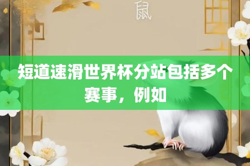 短道速滑世界杯分站包括多个赛事，例如