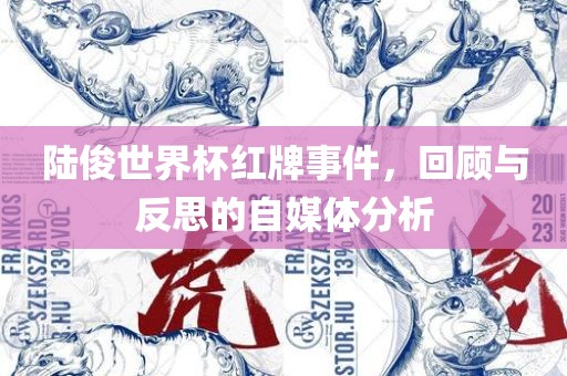 陆俊世界杯红牌事件，回顾与反思的自媒体分析