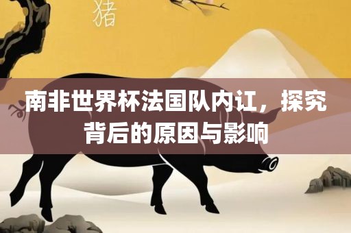 南非世界杯法国队内讧，探究背后的原因与影响