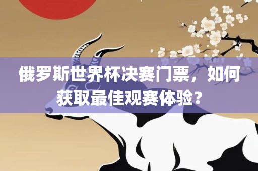 俄罗斯世界杯决赛门票，如何获取最佳观赛体验？