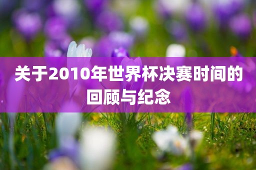 关于2010年世界杯决赛时间的回顾与纪念