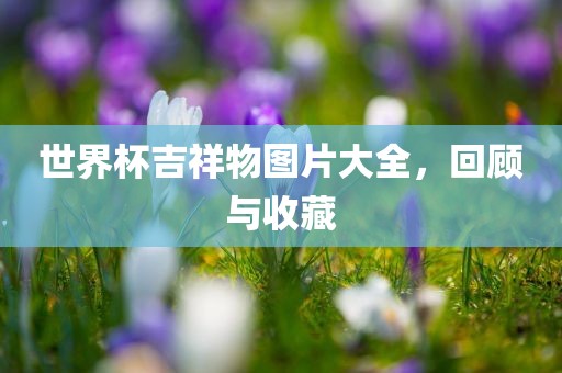 世界杯吉祥物图片大全，回顾与收藏