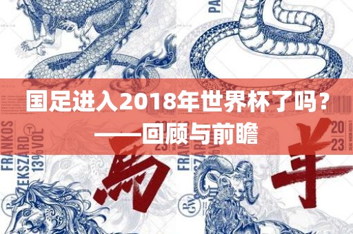 国足进入2018年世界杯了吗？——回顾与前瞻