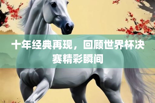 十年经典再现，回顾世界杯决赛精彩瞬间