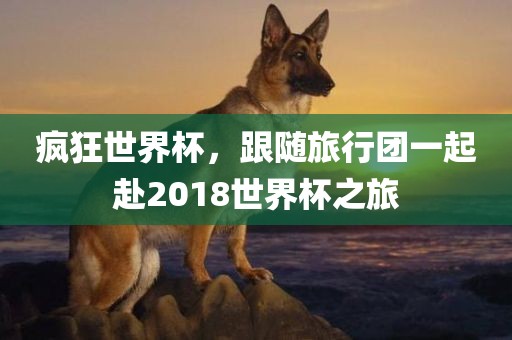 疯狂世界杯，跟随旅行团一起赴2018世界杯之旅