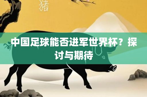 中国足球能否进军世界杯？探讨与期待