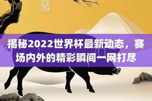 揭秘2022世界杯最新动态，赛场内外的精彩瞬间一网打尽