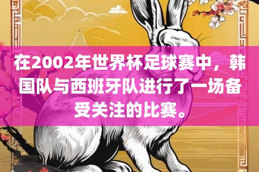 在2002年世界杯足球赛中，韩国队与西班牙队进行了一场备受关注的比赛。