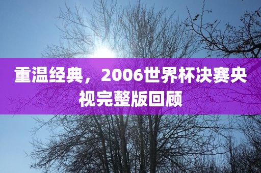 重温经典，2006世界杯决赛央视完整版回顾
