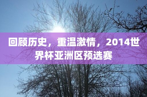 回顾历史，重温激情，2014世界杯亚洲区预选赛