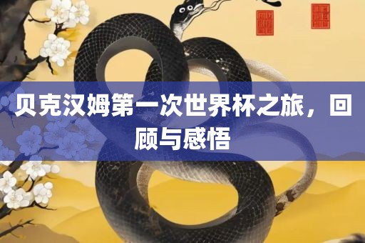 贝克汉姆第一次世界杯之旅，回顾与感悟