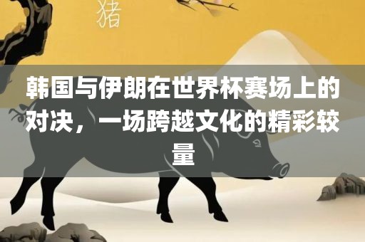 韩国与伊朗在世界杯赛场上的对决，一场跨越文化的精彩较量