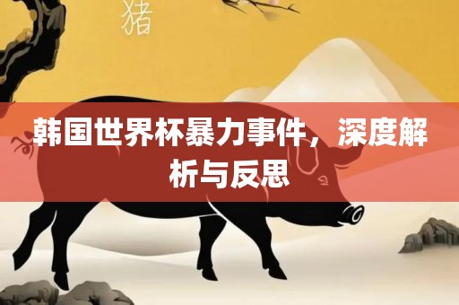 韩国世界杯暴力事件，深度解析与反思