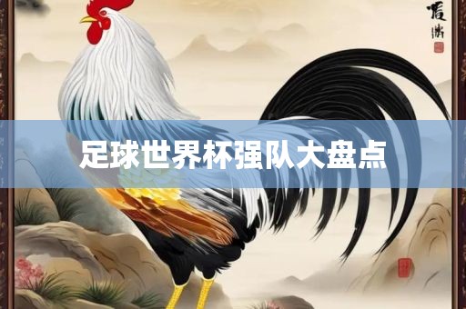 足球世界杯强队大盘点