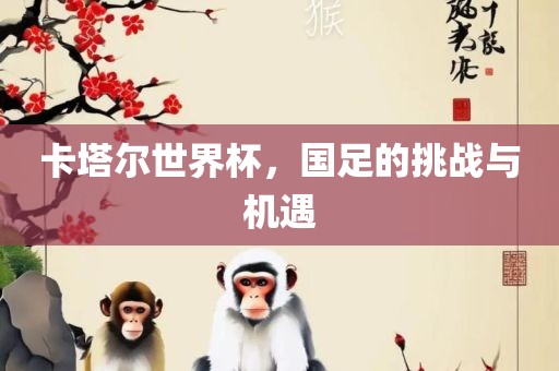 卡塔尔世界杯，国足的挑战与机遇