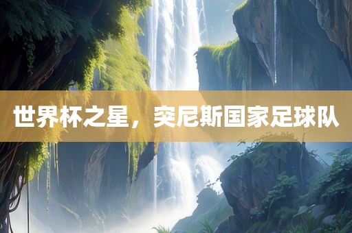 世界杯之星，突尼斯国家足球队