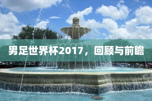 男足世界杯2017，回顾与前瞻