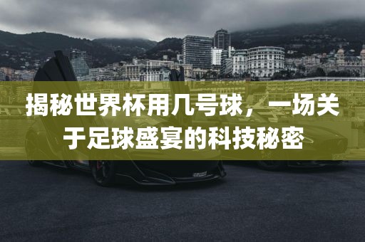 揭秘世界杯用几号球，一场关于足球盛宴的科技秘密