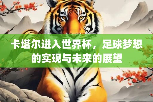 卡塔尔进入世界杯，足球梦想的实现与未来的展望