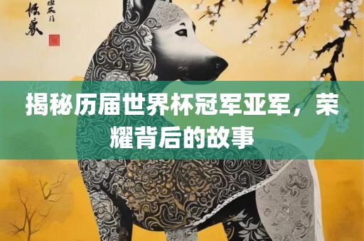 揭秘历届世界杯冠军亚军，荣耀背后的故事