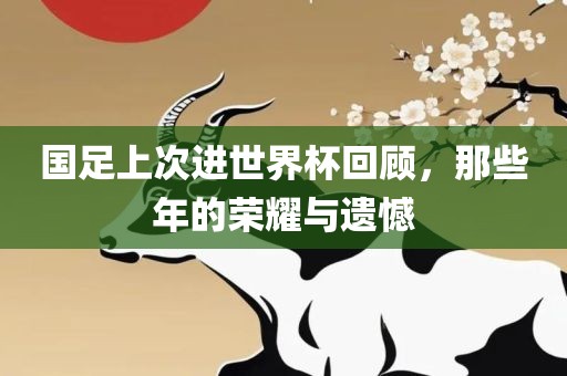 国足上次进世界杯回顾，那些年的荣耀与遗憾