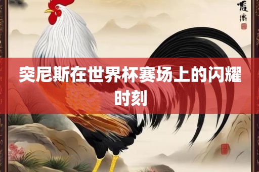 突尼斯在世界杯赛场上的闪耀时刻