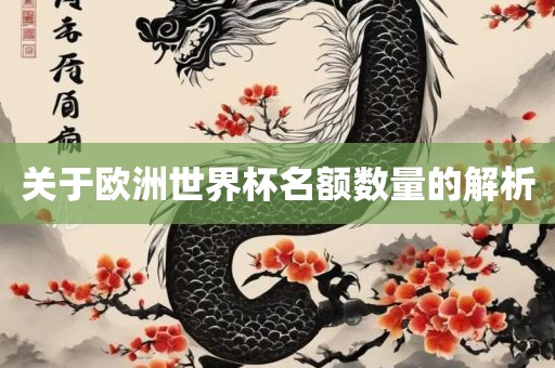 关于欧洲世界杯名额数量的解析
