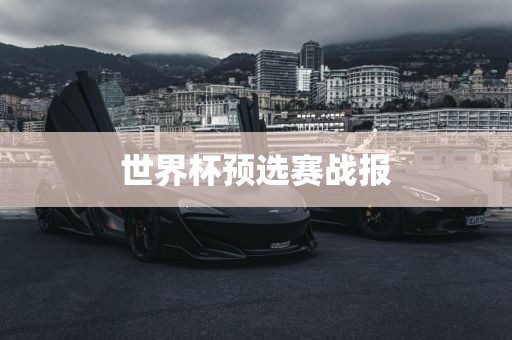 世界杯预选赛战报