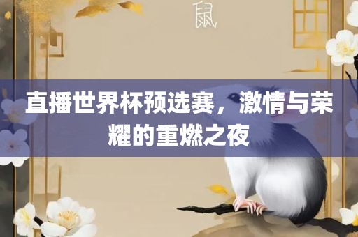 直播世界杯预选赛，激情与荣耀的重燃之夜