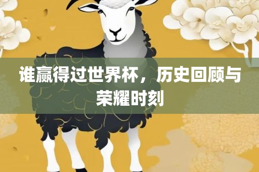 谁赢得过世界杯，历史回顾与荣耀时刻