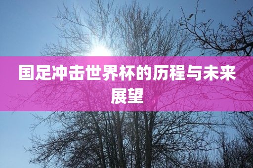 国足冲击世界杯的历程与未来展望